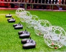 揭秘福彩,独家五码组,选攻略,广东体彩,广东体彩网,广东体彩网官网,体育彩票,广东彩票,体彩开奖,彩票玩法