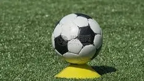 【双色球狂欢盛宴】第2026009期红球精选：三大热门号码03、10、14，财富之路一触即发！