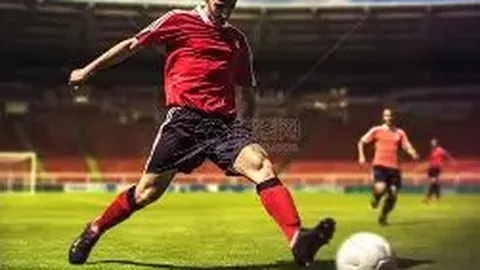 【双色奇缘】2026年第013期凤尾彩选秘籍，谨慎揭晓，不容错过！