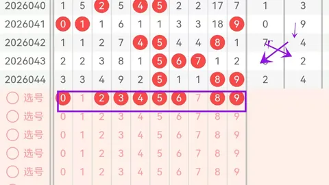 福彩3D第2026054期专家免费循环杀号推荐：56选