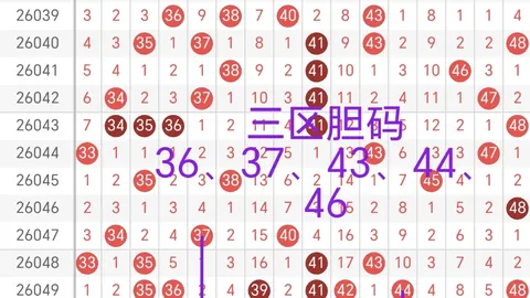 第2026020期 双色球2026020期全盘简析：复式82