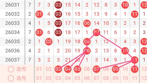 张晶双色球解析：前区十码精选，期号策略推荐冲击大奖