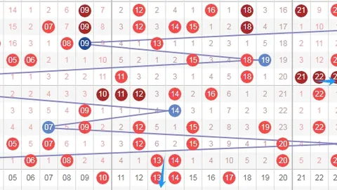 樊可大乐透26026期专家推荐：精选52后区号码0506，追